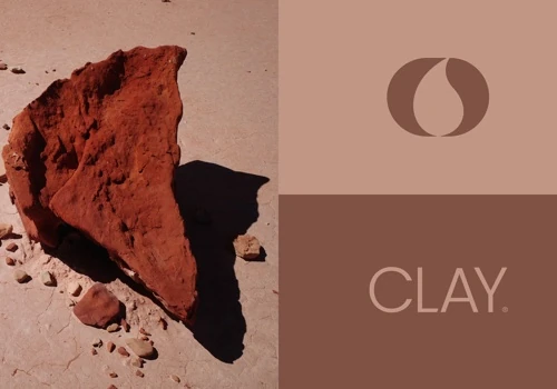 Brand Foundation & Web Presence