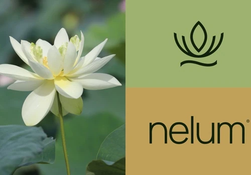 Brand Foundation For Nelum