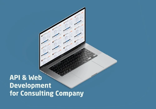 API & Web Development for Consulting Company