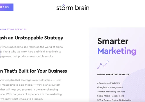 Website Copywriting for Storm Brain