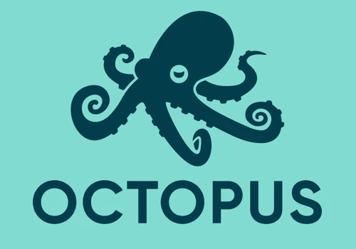 Octopus Safety