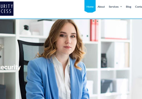 Website development with blog