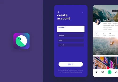 Branding & UX/UI Design of Chatripp