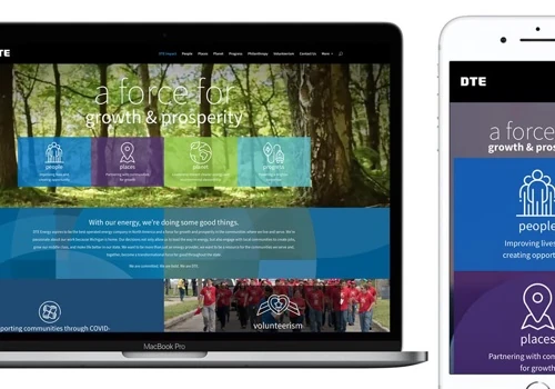 DTE Energy - WordPress Web Design and Development