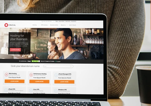 Link Portfolio Polish, Crucial Hosting Case Study