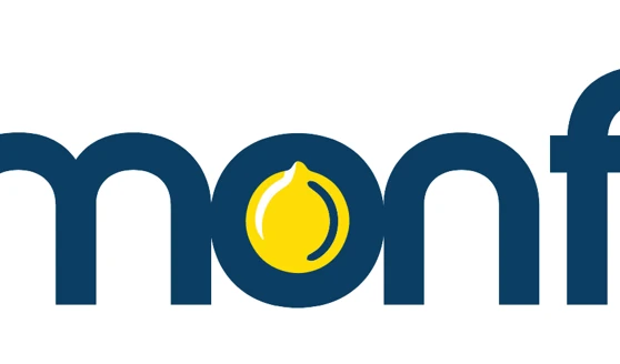 Lemonfive team photo 1