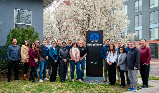 BridgeView - IT Consulting & Staffing team photo 1