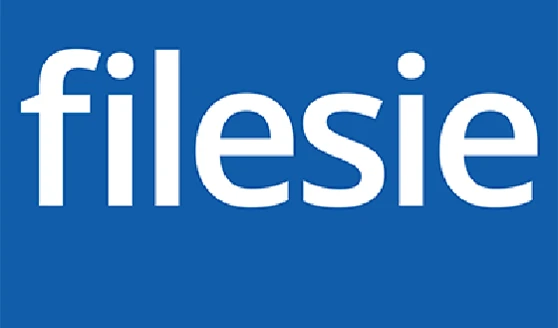 Filesie | The Digital Agency team photo 1