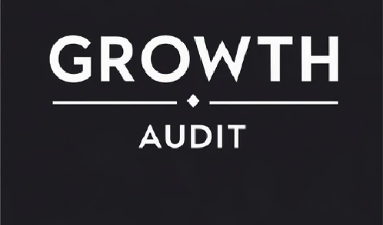 Growth Audit team photo 1