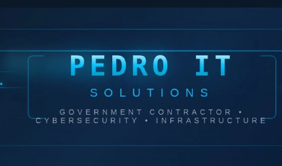 PEDRO IT SOLUTIONS, LLC team photo 1