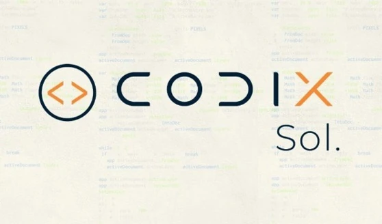 Codixsol team photo 1