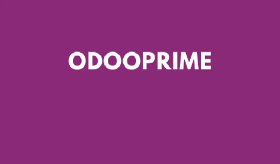 ODOOPRIME – Trusted Odoo Partner in Dubai, UAE team photo 1