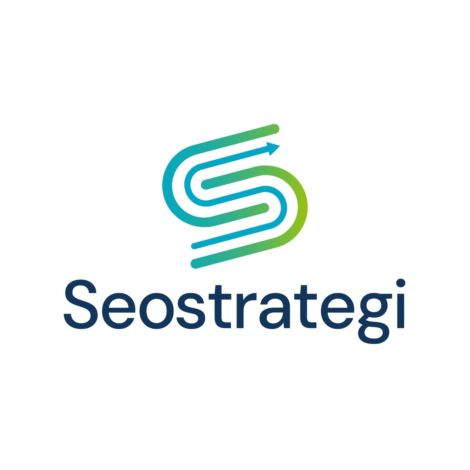 SEO Strategi team photo 1